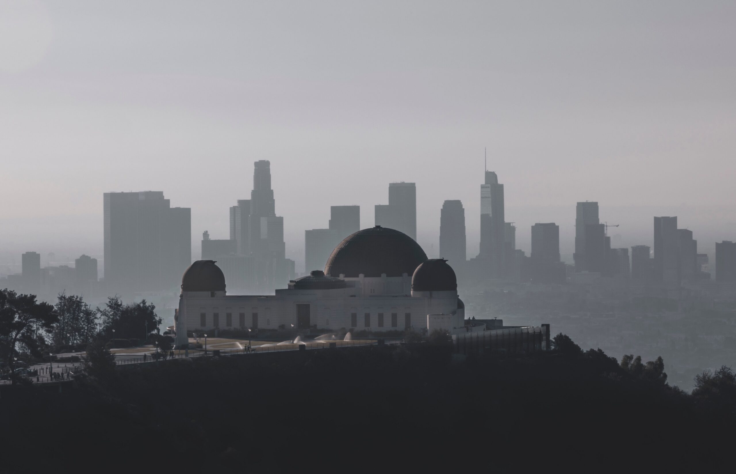 From the Hollywood Hills to London’s American Bar